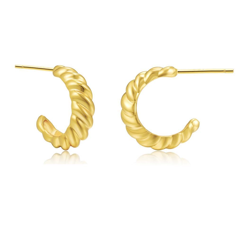 Amazon.com: ZEBRAGO Gold and Silver C Shaped Twist Hoop